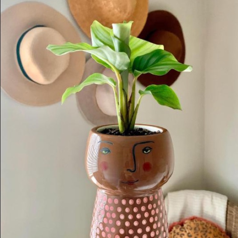 Opalhouse Stoneware Family Planter Pot - Picture 6 of 16